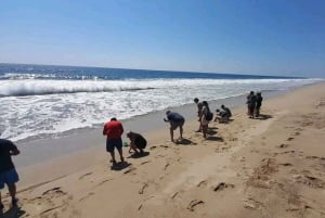 Acapulco: Experiencia de liberación de tortugas