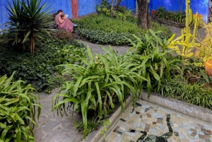 Access to the Frida Kahlo Museum with a Digital Guide and the Casa Kahlo Museum