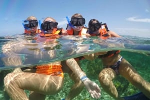 ¡SOLO ADULTOS! Crucero en catamarán por Isla Mujeres con vistas a la puesta de sol