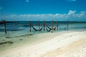 ¡SOLO ADULTOS! Crucero en catamarán por Isla Mujeres con vistas a la puesta de sol