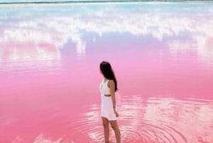 Adventure Rio Lagartos: Las Coloradas and Mayan Bath Tour