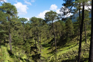 Ajusco: Aventura en bicicleta o senderismo de montaña