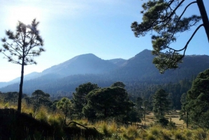 Ajusco: Mountain Hiking or Cycling Adventure