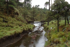 Ajusco: Aventura en bicicleta o senderismo de montaña