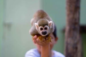 Akumal: Akumal Monkey Sanctuary Tour