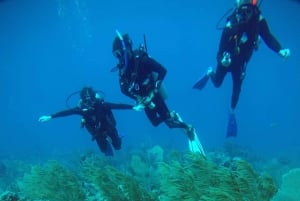 Akumal: Discover Scuba Diving