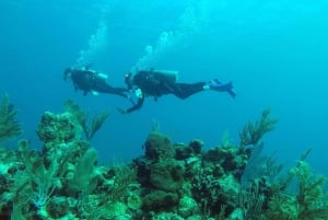 Akumal: Discover Scuba Diving