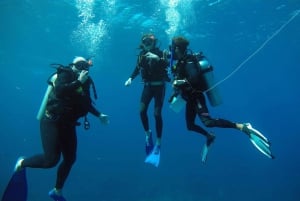 Akumal: Discover Scuba Diving