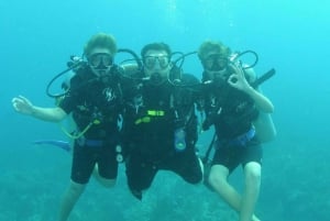 Akumal: Discover Scuba Diving