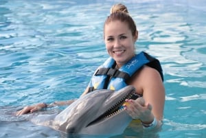 Akumal: Dolphin Encounter