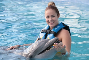 Akumal: encuentro con delfines