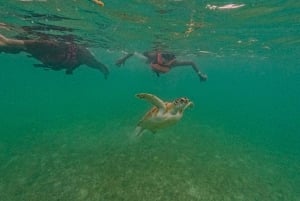 Akumal : snorkel con guías locales y Gopro fotos