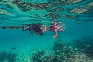 Akumal : snorkel con guías locales y Gopro fotos