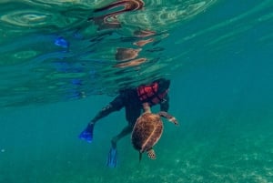 Akumal : snorkel con guías locales y Gopro fotos