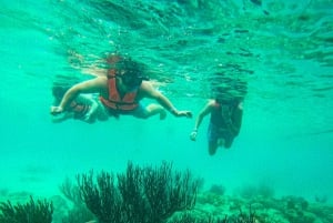 Akumal : snorkel con guías locales y Gopro fotos