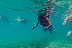 Akumal : snorkel con guías locales y Gopro fotos