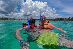 Akumal : snorkel con guías locales y Gopro fotos