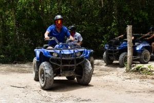 Akumal: Monkey Sanctuary, ATV, Cenote, & Yalku Snorkel Tour