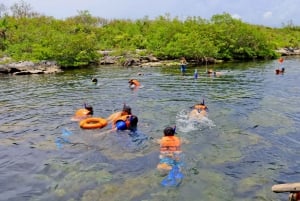 Akumal: Monkey Sanctuary, ATV circuit and Snorkeling Tour