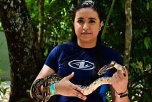 Akumal: Santuario de los Monos, Cenote, ATV y Excursión de Snorkel