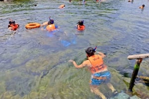 Akumal: Santuario de los Monos, Cenote, ATV y Excursión de Snorkel