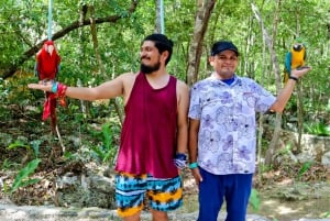 Akumal: Experiencia en el Santuario de los Monos con ATV y Cenote