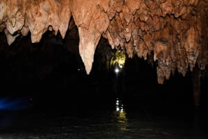 Akumal: Experiencia en el Santuario de los Monos con ATV y Cenote