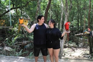 Akumal: Monkey Sanctuary Tour with ATV Road and Cenote Swim