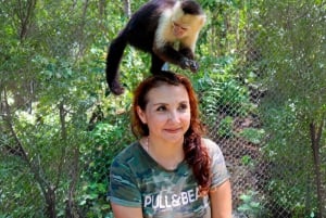 Akumal: Monkey Sanctuary Tour with ATV Road and Cenote Swim