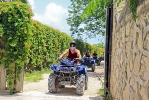 Akumal: Monkey Sanctuary Tour with ATV Road and Cenote Swim