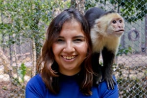 Akumal: Visita al Santuario de los Monos, paseo en quad y baño en un cenote