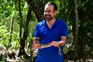 Akumal: Visita al Santuario de los Monos, paseo en quad y baño en un cenote