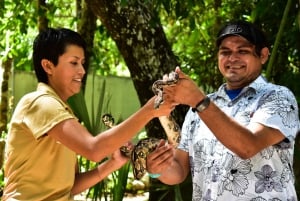 Akumal: Visita al Santuario de los Monos, paseo en quad y baño en un cenote