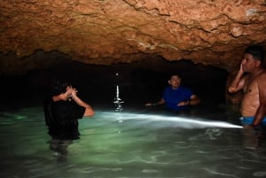 Akumal: Visita al Santuario de los Monos, paseo en quad y baño en un cenote