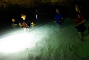 Akumal: Santuario de monos con interacción animal y paseo en quad