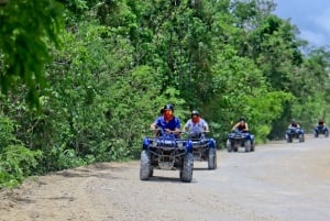 Akumal: Santuario de monos con interacción animal y paseo en quad