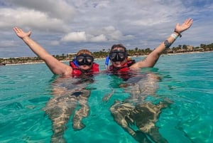 Akumal : sea turtles with photos