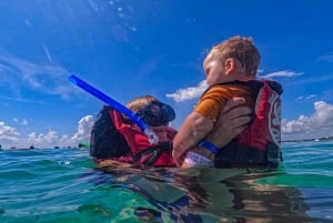 Akumal : sea turtles with photos