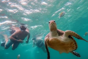 Akumal: Snorkel with turtles and Cenote Tour