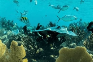 Akumal: Snorkel with turtles and Cenote Tour