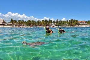 Akumal; snorkel y fotos con tortugas
