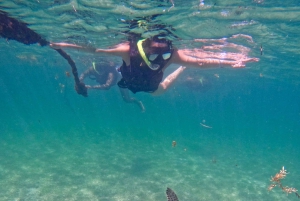 Akumal; Snorkeling and Photos with Turtles