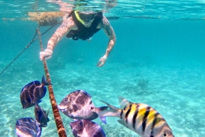Akumal; snorkel y fotos con tortugas