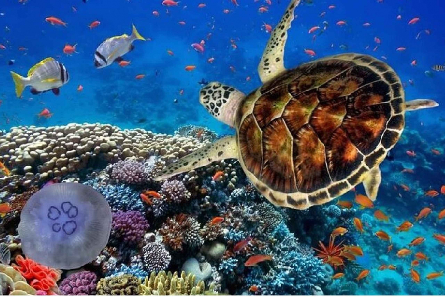 Akumal: Turtle Swim & Jungle Adventure Tour