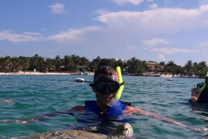 Akumal: Guided Turtle Snorkeling Tour and pictures