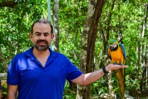 Akumal: Visita el Santuario de los Monos con baño en el Cenote y ATV