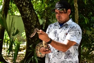 Akumal: Visita el Santuario de los Monos con baño en el Cenote y ATV