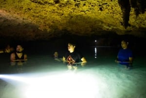 Akumal: Visita el Santuario de los Monos con baño en el Cenote y ATV