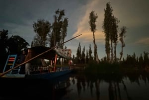 Ciudad de México: Amanecer o atardecer en Xochimilco