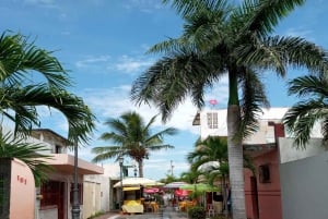 Una experiencia de color , aroma y sabor en Veracruz